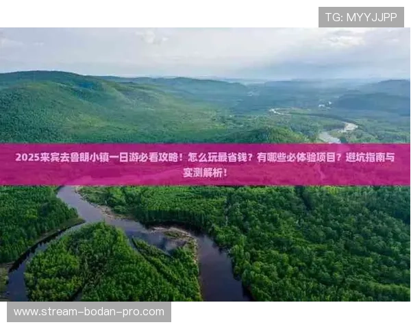玩球体育品牌入口避坑指南与极速下载评测